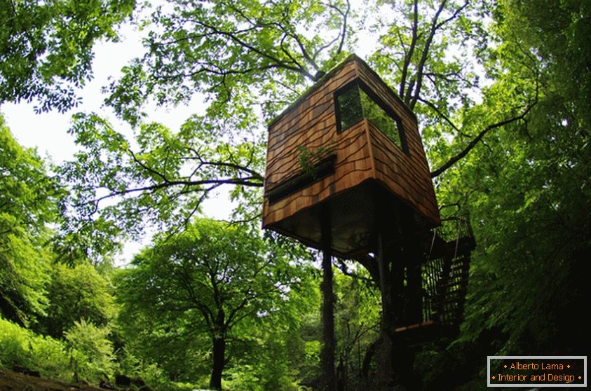 Treehouse од Такаши Кобајаши (Јапонија)