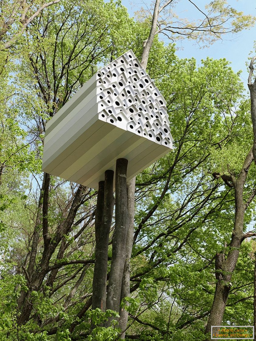 Treehouse за птици и луѓе (Јапонија)
