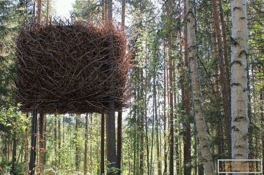 Куќата на дрвото на птичјиот гнездо (Швеция)
