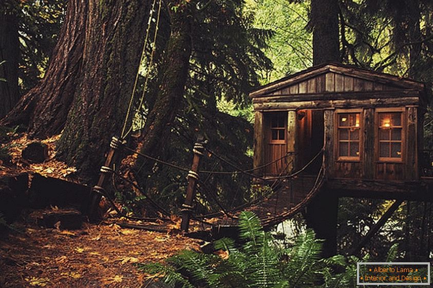 Treehouse во Сиетл (Сиетл, САД)