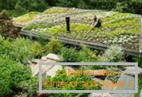30 удивительных идей для оформления градина на покривот