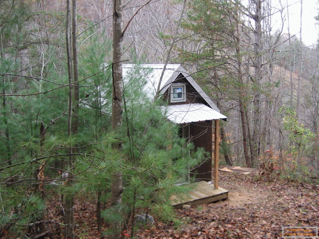 Мала куќа во шумата
