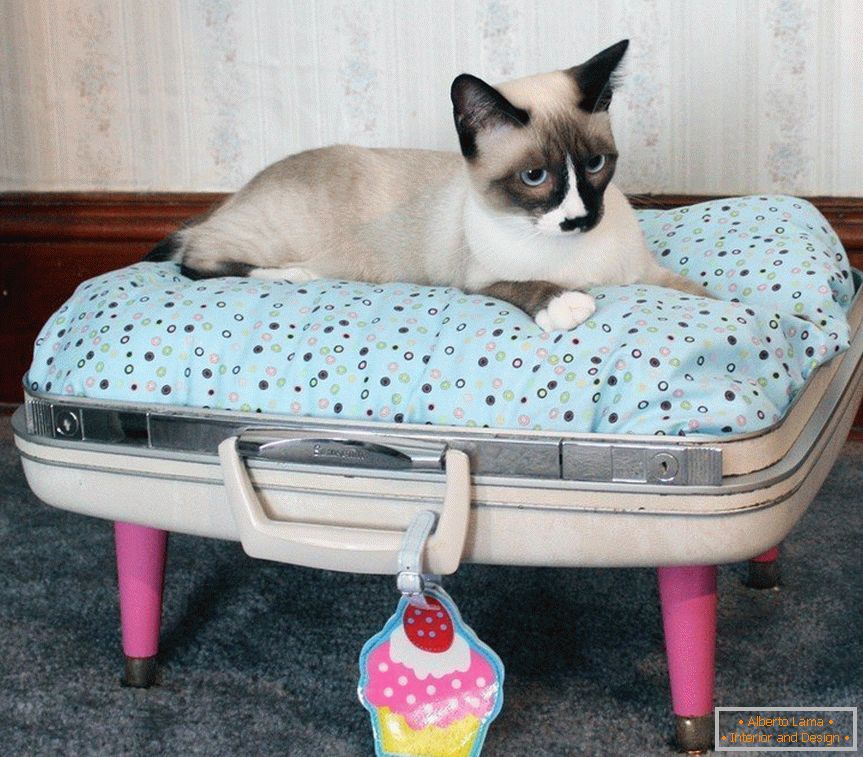 Милениче кревет за домашни миленици од куфер