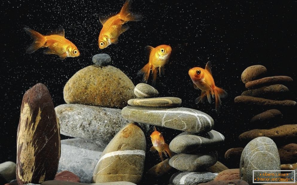 Декорација на аквариум со камења