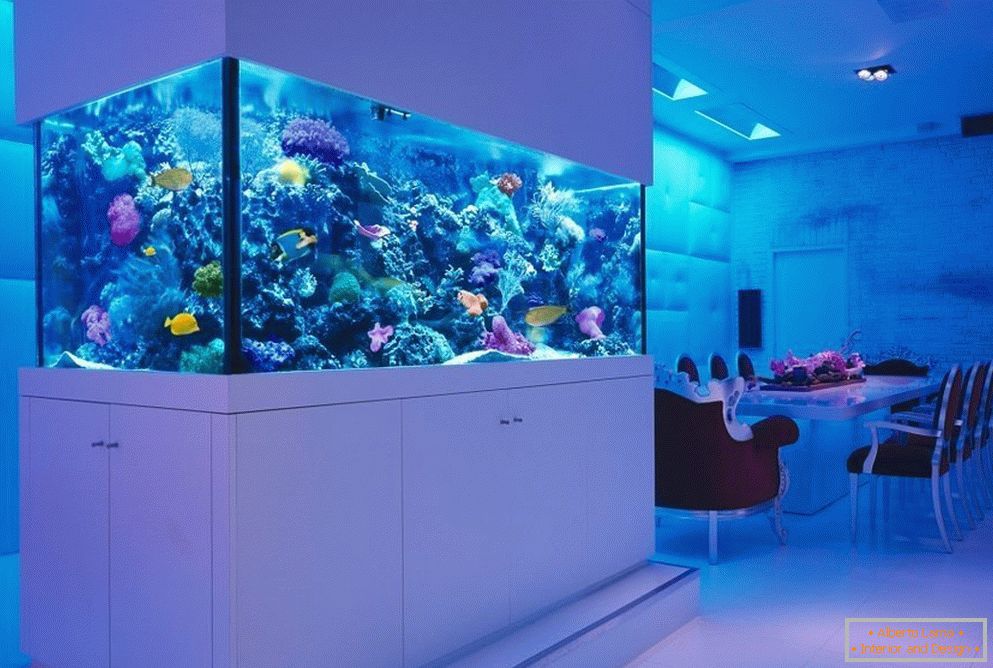 Морски аквариум со живи корали 