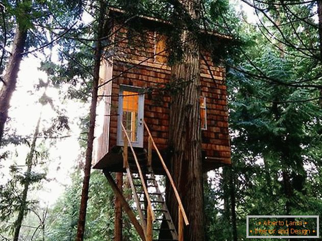 Куќа на дрво со скалила. Фото 1