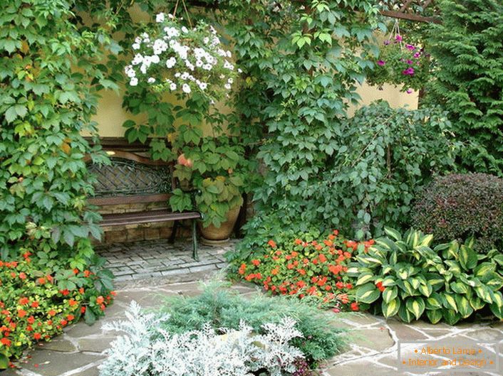Разновидноста на растителниот свет во дворот укажува на присуство на медитерански стил. Цветни растенија, калливи диви грозје ја прават атмосферата романтична.