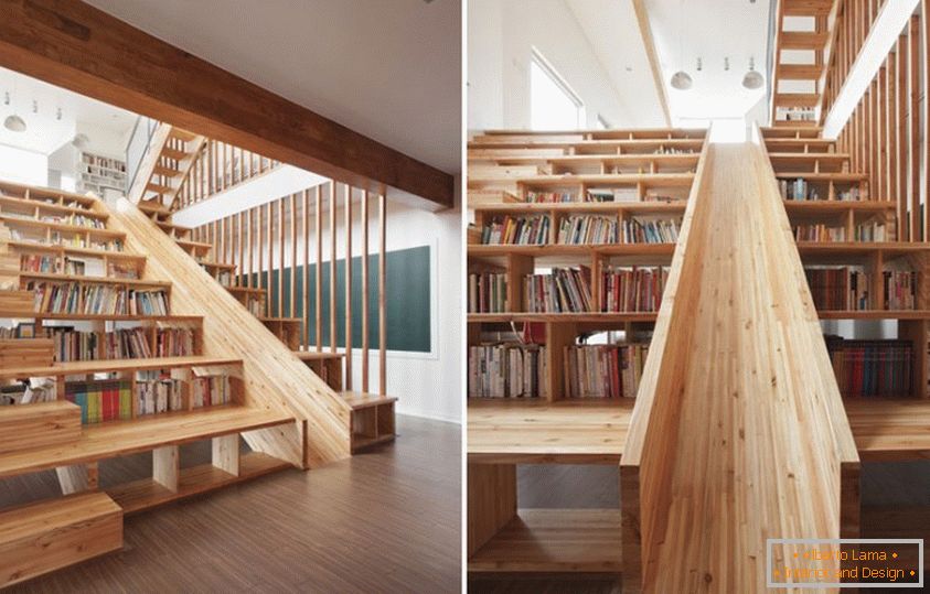 Невообичаена скалила-библиотека
