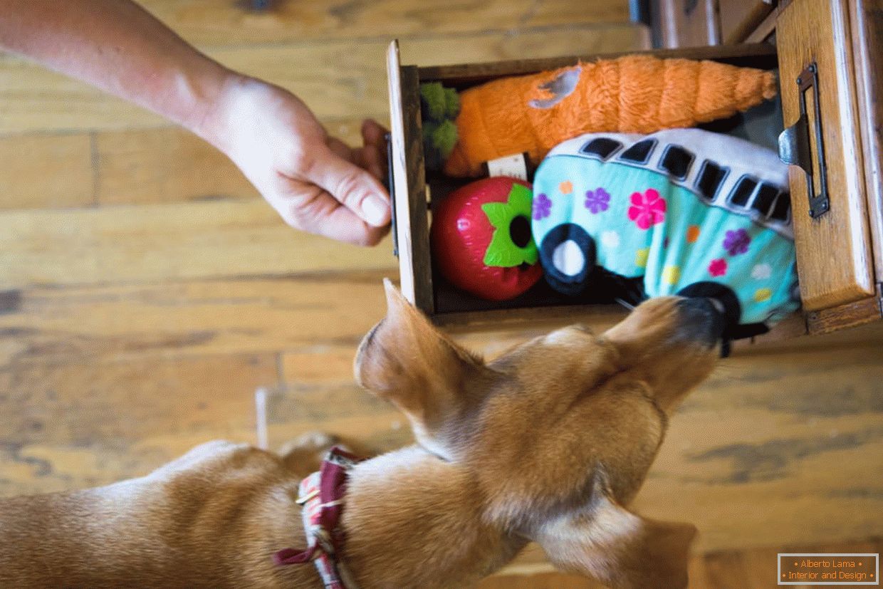 Кутија со играчки за кучиња