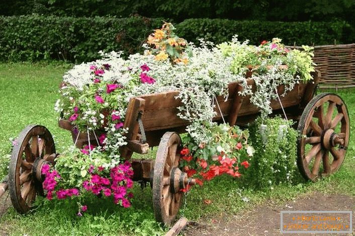 Како прибор за создавање на цветна постела се користела стара, обновена количка. Интересно решение за декорот на дворот на куќата. 