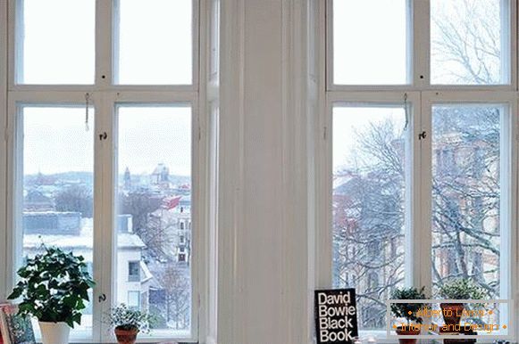 Прозорец декорација со книги и затворен растенија