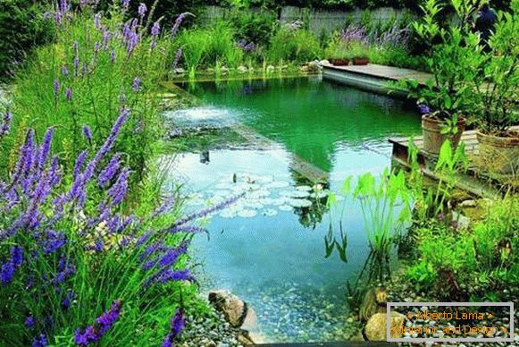 Прекрасна слика на базени - езерце за пливање во дворот