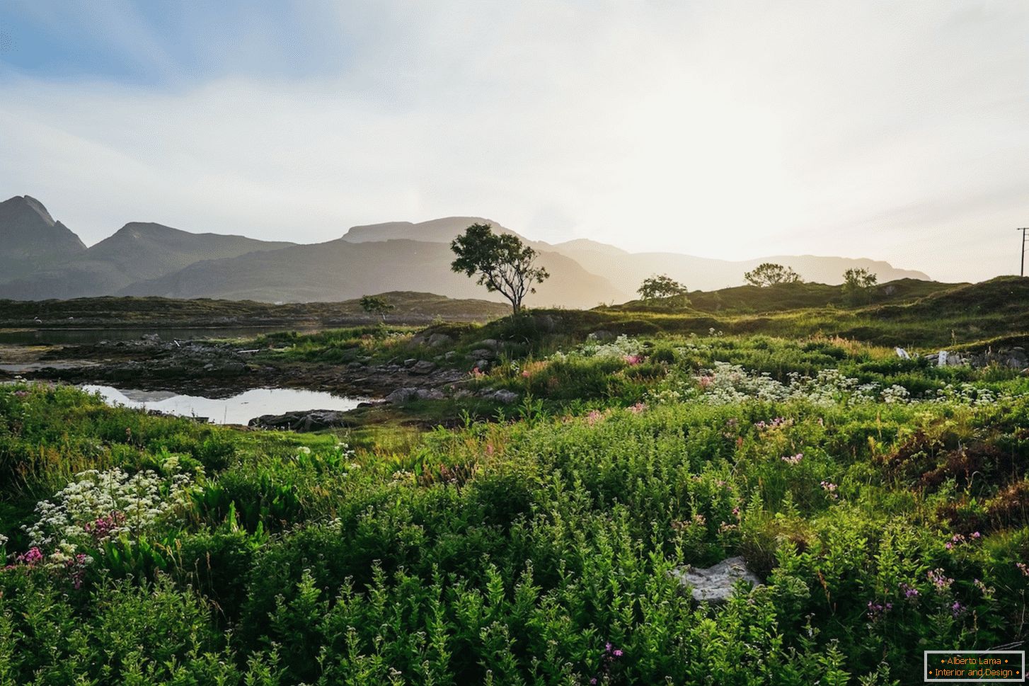 Сочен пејзаж на норвешки полиња