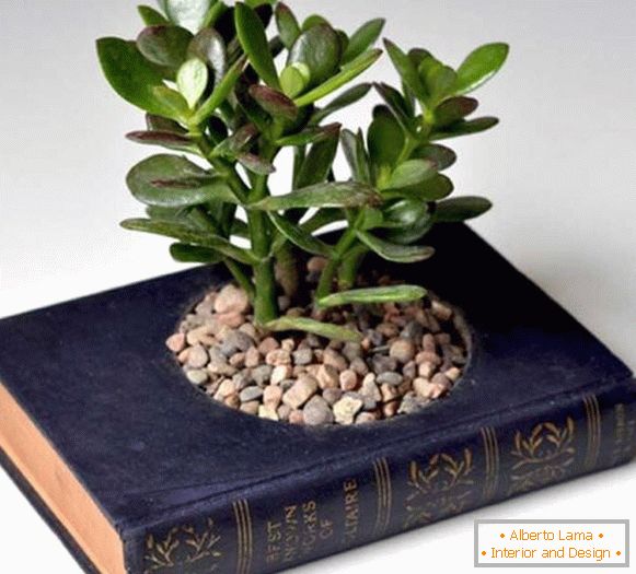 Пот на растенија од книгата