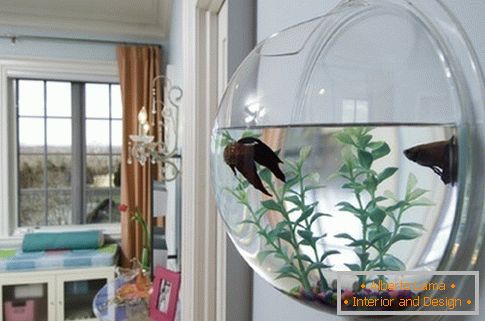 Кружен ѕиден аквариум