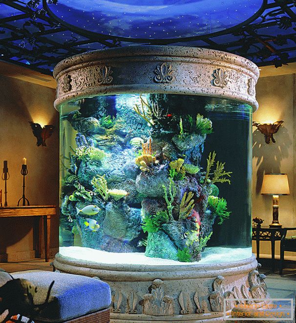 Крупен аквариум во дневната соба