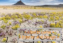 Пустини во Јута, експлодираа во бои