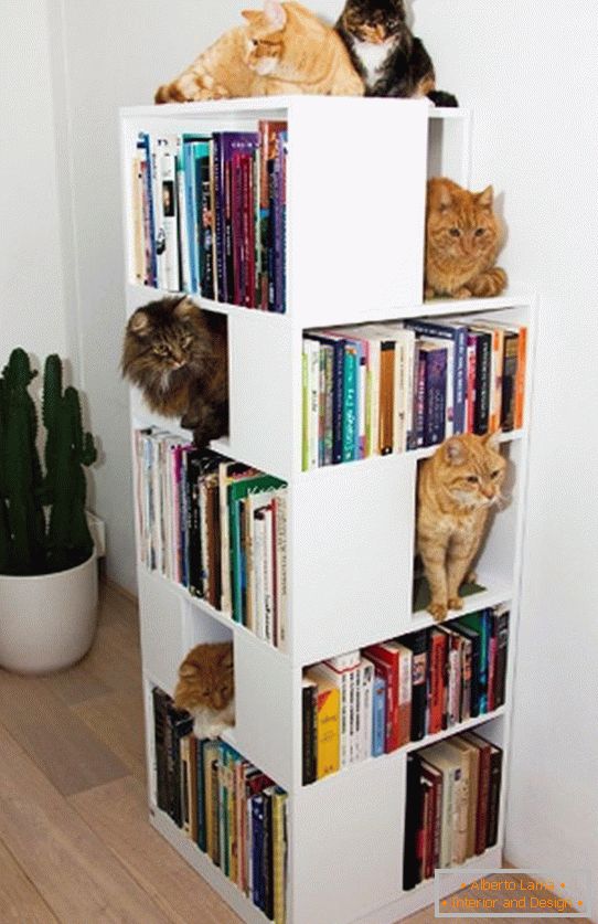 Полици за мачки в книжном стеллаже