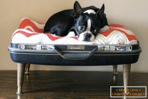 Место за куче од куфер