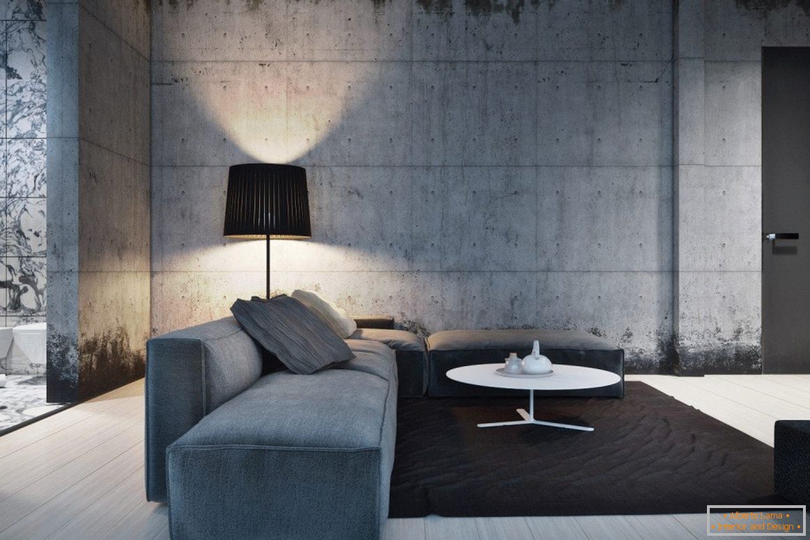 Дневна соба во минималистички стил со сив под