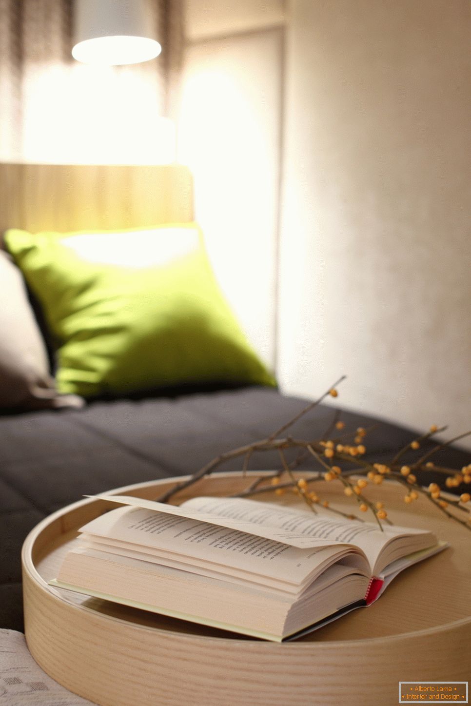 Читачка маса на креветот