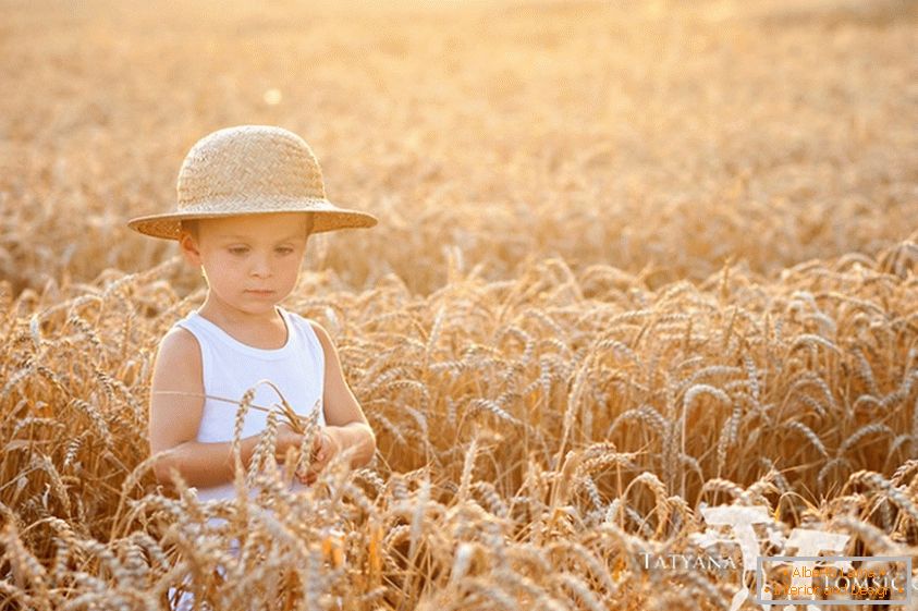 Дете во поле на пченица