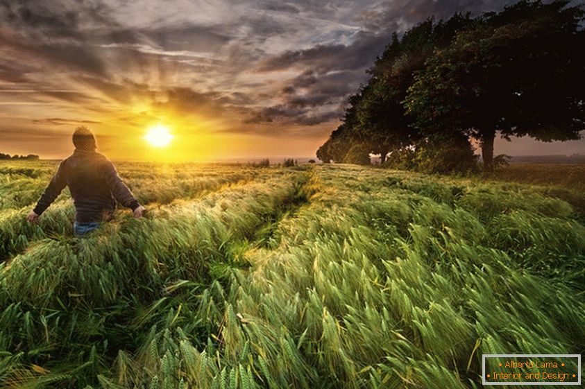 Мужчина на пшеничном поле, фотограф Пол Вожњак