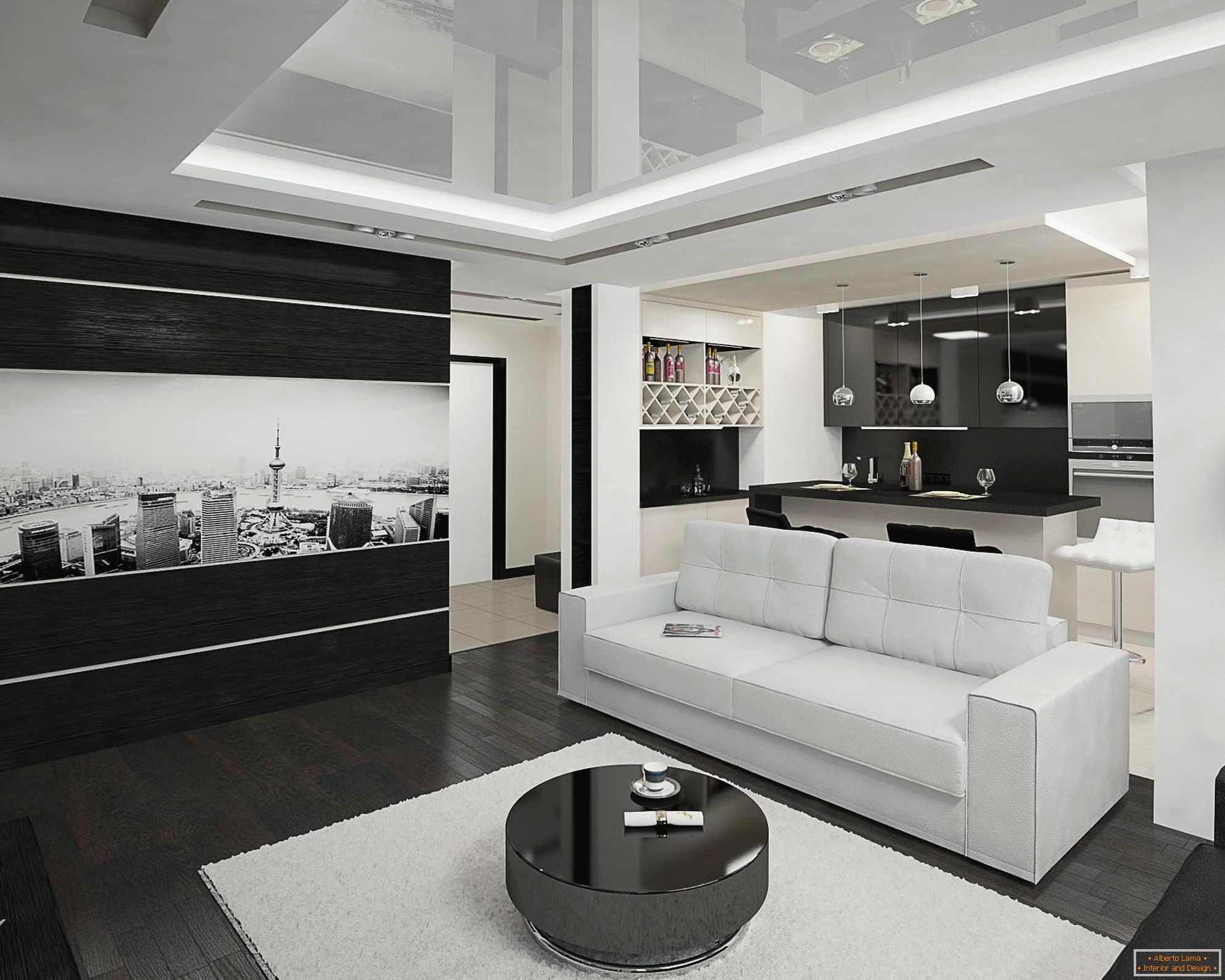Црно-бела кујна и внатрешна дневна соба на 20 квадратни метри