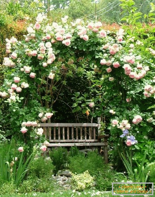 Осамено место за одмор во градината