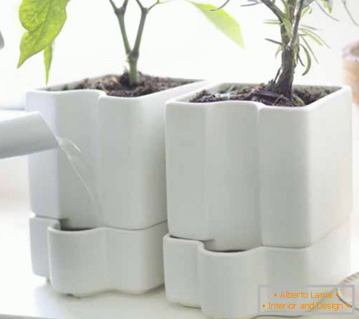 тенџере за растенија од глазирана керамика SOTCITRON