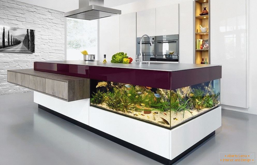Табела-аквариум во кујната