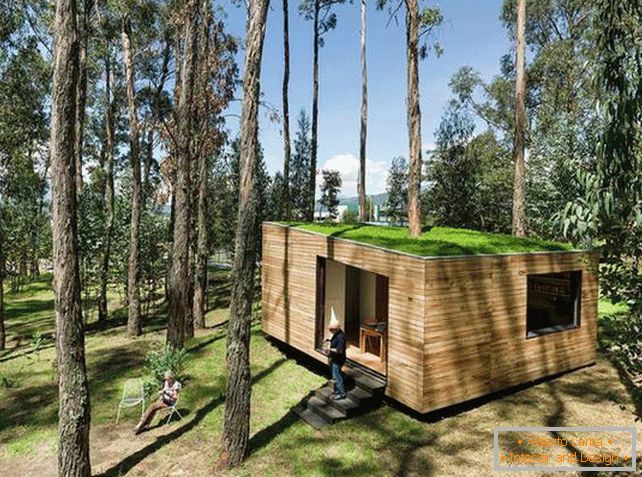 Мала куќа во шумата со мов покрив