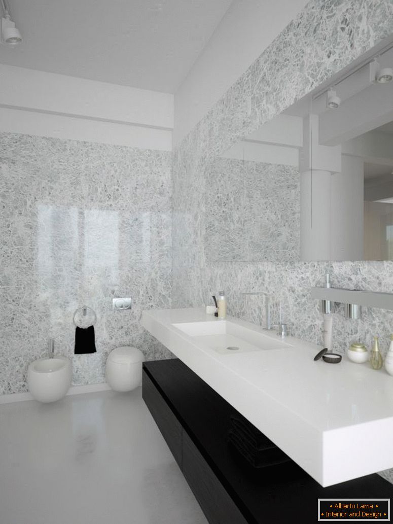 black-white-contemporary-бањаroom-design