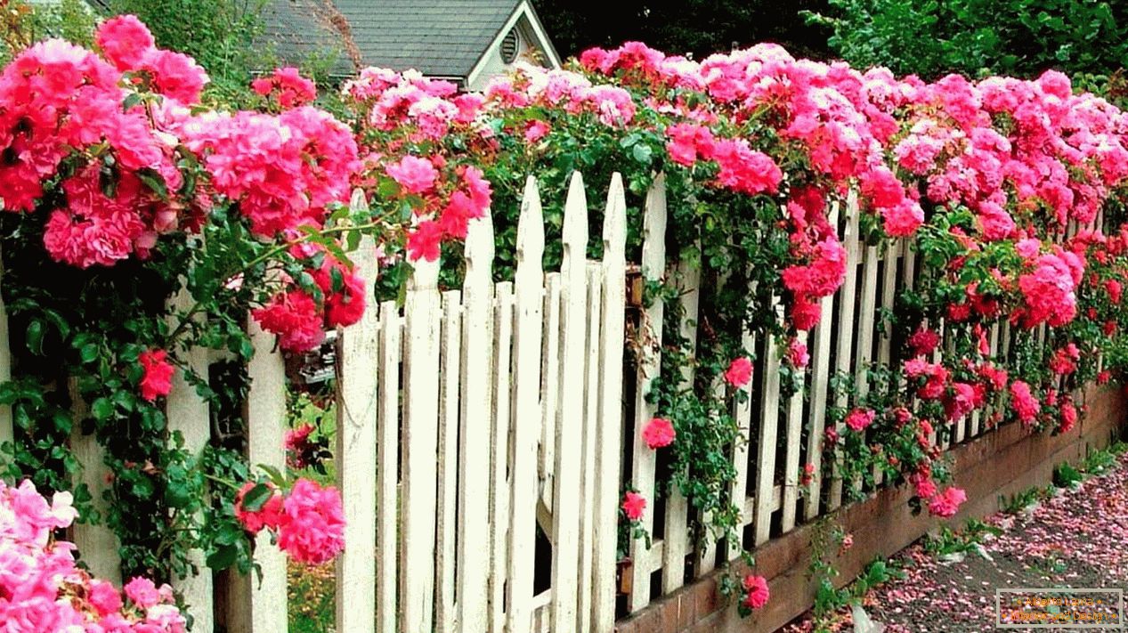 Бела дрвена ограда