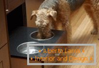 Дизајн за домашни миленици: направи место за јадење куче