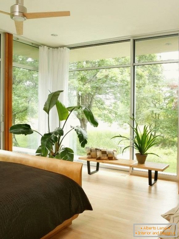 Големи прозорци и кондензирани растенија во спалната соба