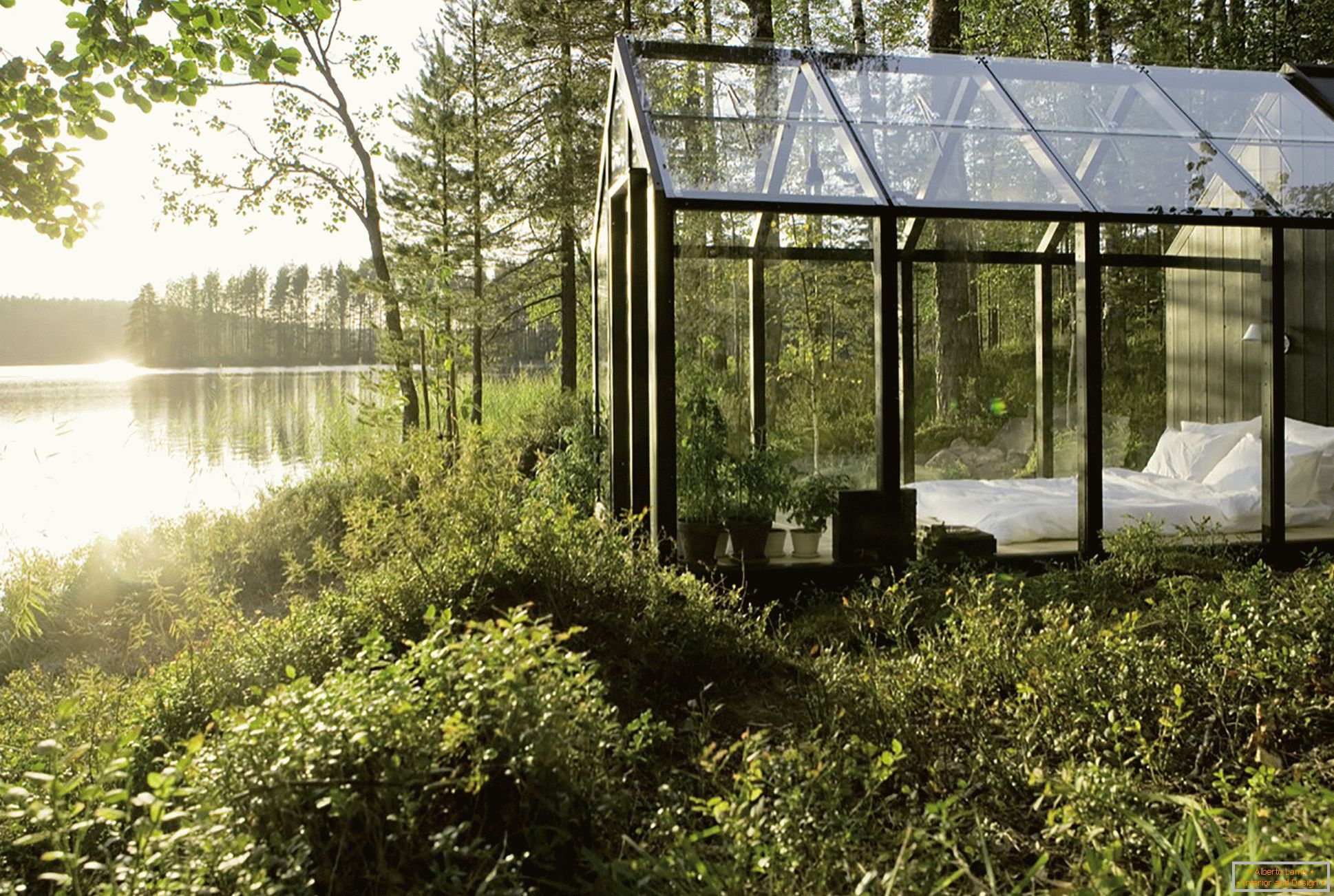 Дизајн на стаклена градина во средината на шумата