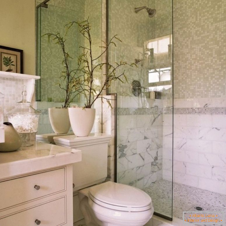 Тоалет дизајн - 150 фотографии на надлежните внатрешен