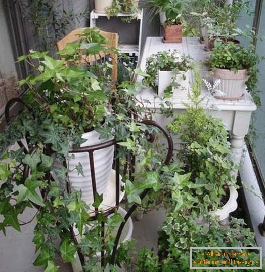 Мала градина на маленьком балконе