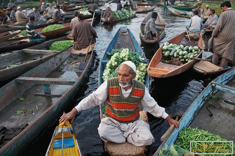 Продавач на брод, Индија
