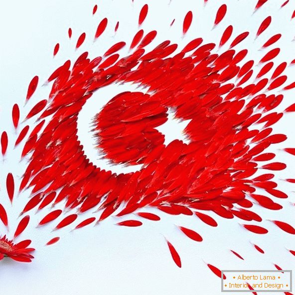 Знаме на Турција од ливчиња од цвеќиња
