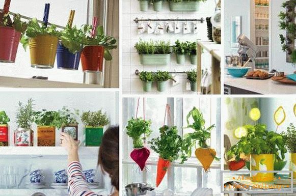 Оригинален кујнски декор - фотографии на идеи со зелени билки