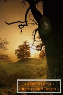 Шарени пејзажи на татковината на Cheshire Cat