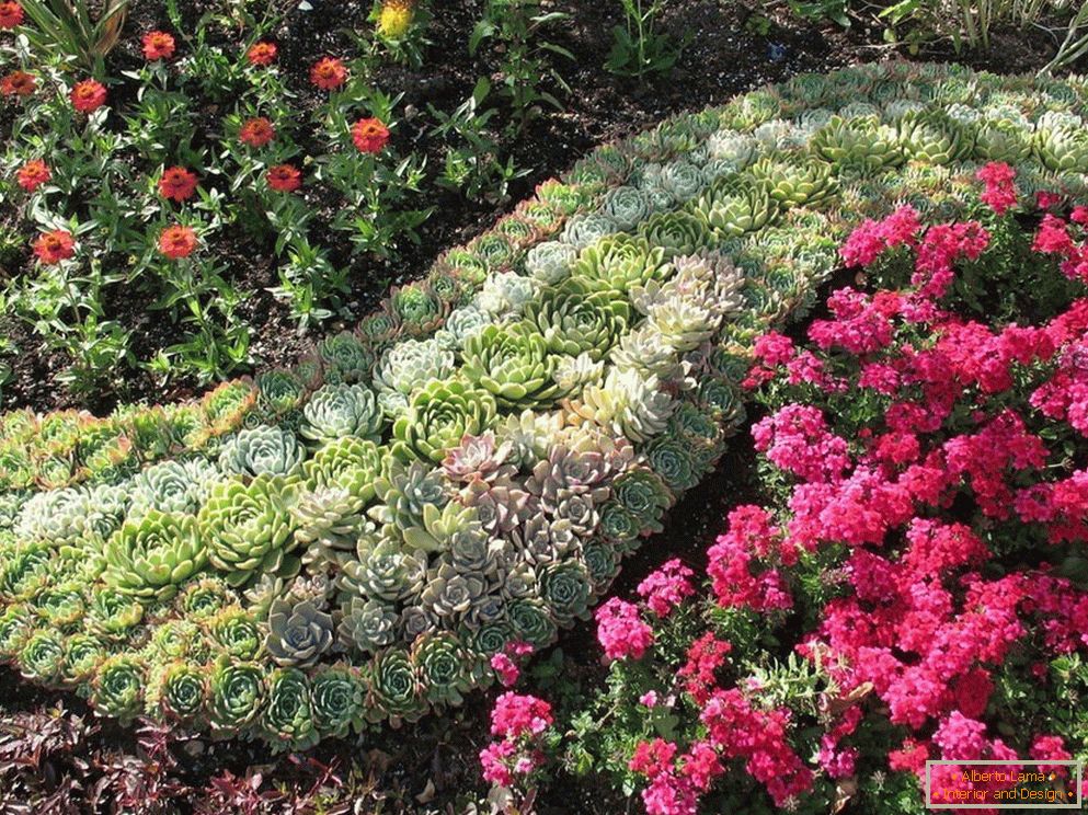 Декорација на цветна градина