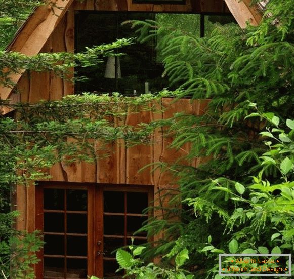 Мала шума куќа (слика), США