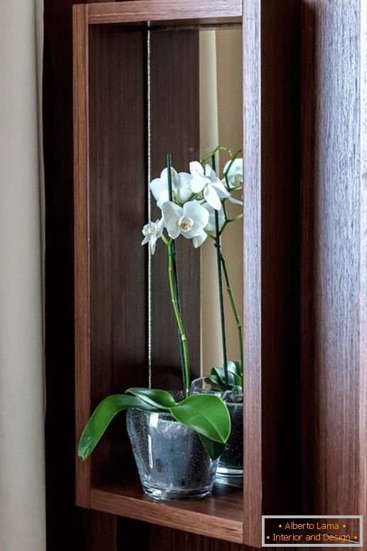 Орхидеи во кујната со ефект на оптичка илузија