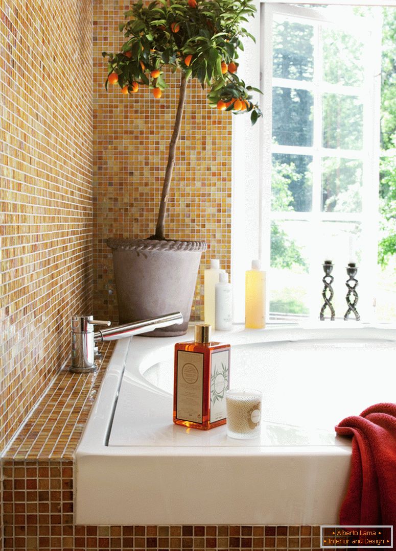 Мозаик за бања - 100 слики од идеи како да декорирате бања