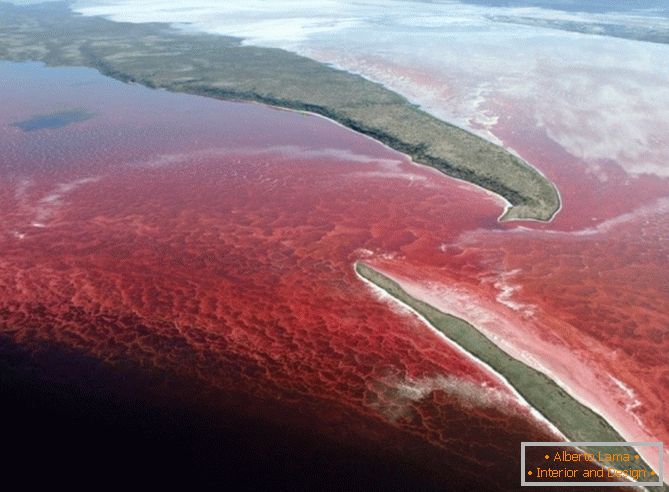 Светло-црвена вода во езерото