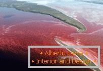 Невообичаено црвено езеро во северна Канада