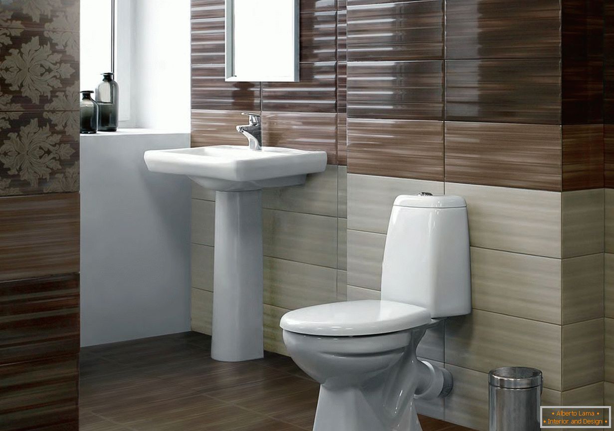 Браун нијанси во дизајнот на тоалет со мијалник